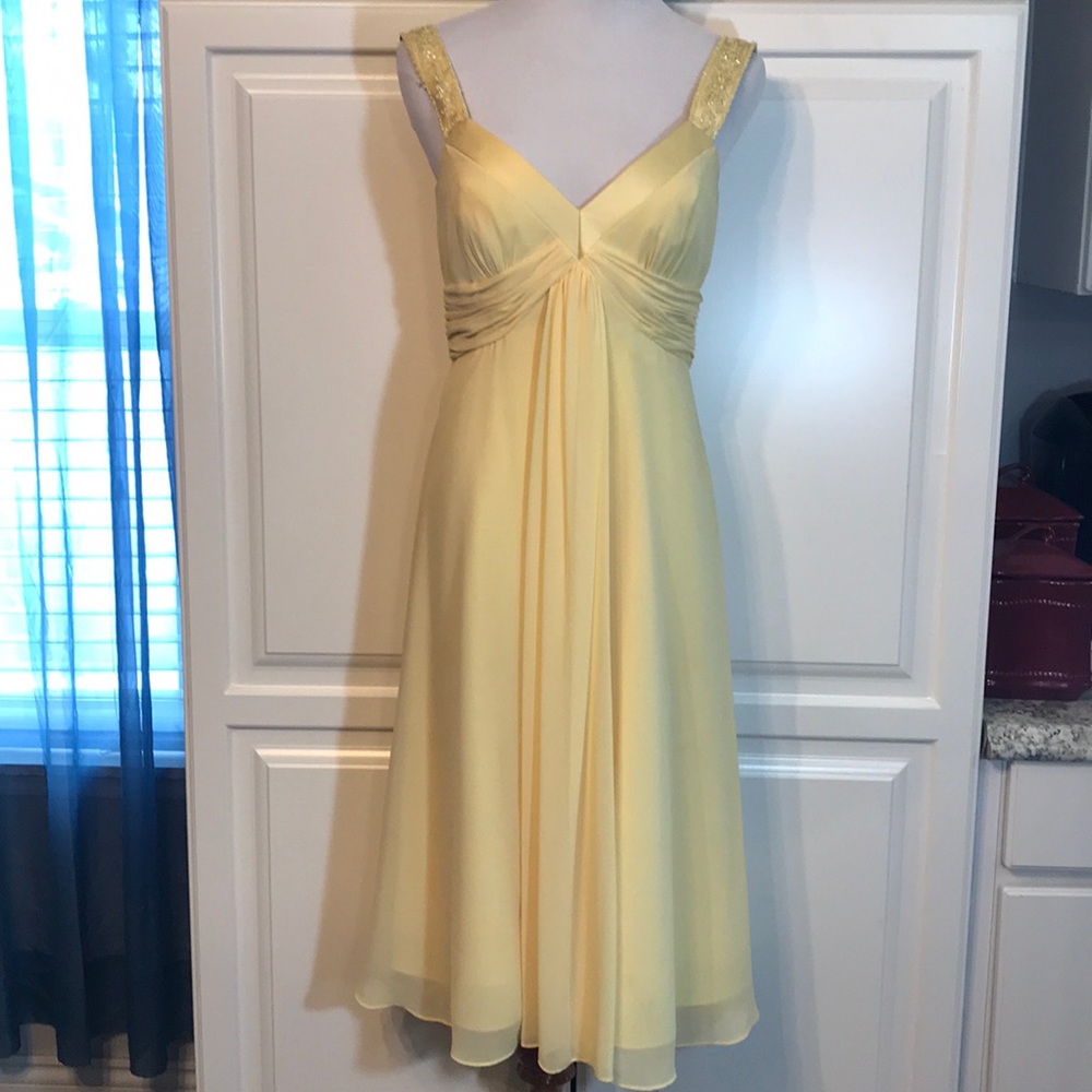 David’s Bridal Party Dress